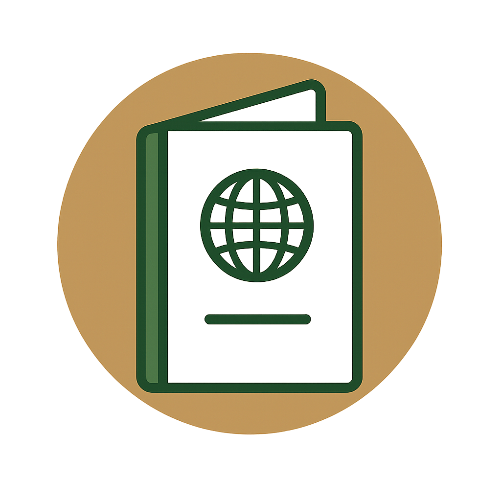 visa Icon